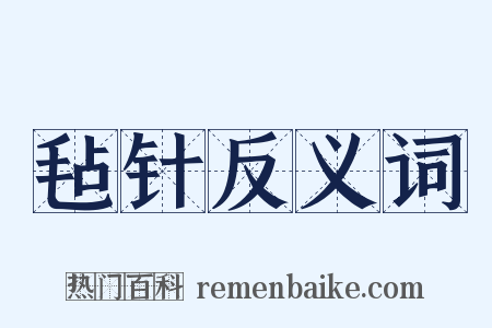 毡针反义词是什么意思的图片